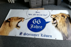 Screenshot_20220316-163906_Photos