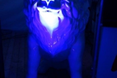 UNADJUSTEDNONRAW_thumb_252b